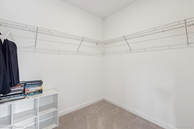 293 N 2nd St Unit 106, Brighton, MI 48116 - spacious closet with carpet flooring