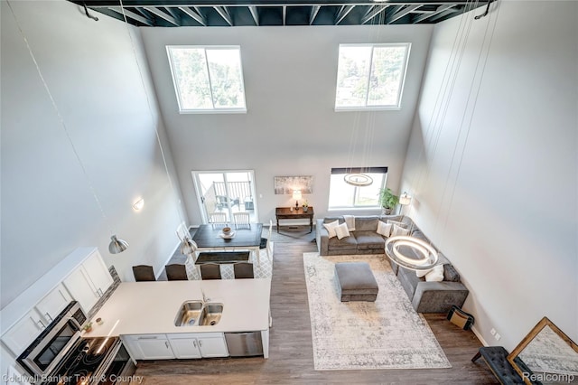 293 N 2nd St Unit 106, Brighton, MI 48116 - living area featuring a high ceiling and wood finished floors