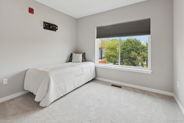 293 N 2nd St Unit 106, Brighton, MI 48116 - carpeted bedroom featuring baseboards