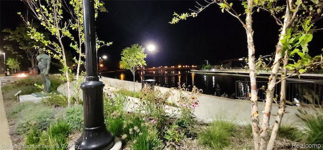 293 N 2nd St Unit 106, Brighton, MI 48116 - yard at night with a water view