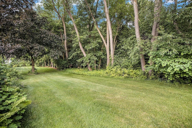 9477 Lightwood Ct, Richland, MI 49083 - view of grassy yard