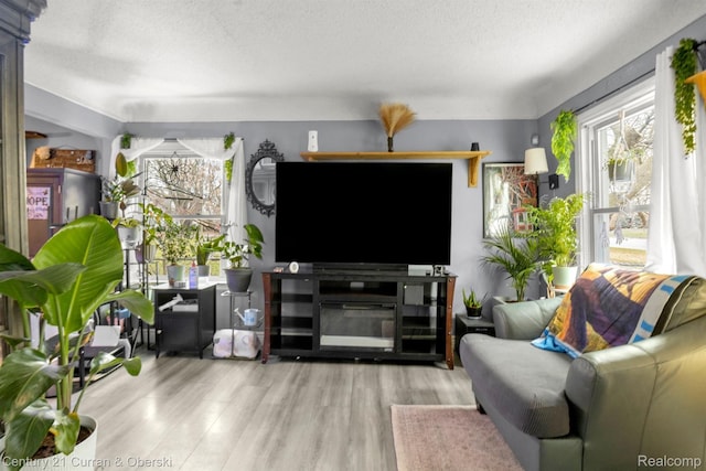 25021 Ecorse Rd, Taylor, MI 48180 - living area featuring a textured ceiling and wood finished floors