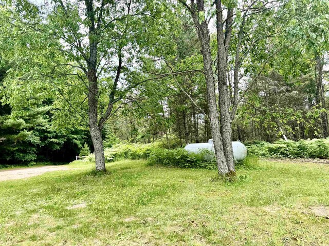 7864 SW Hudson Rd, Fife Lake, MI 49633
