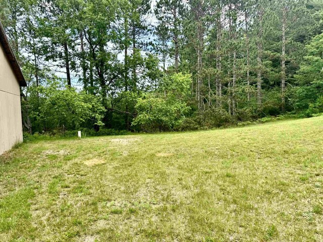 7864 SW Hudson Rd, Fife Lake, MI 49633