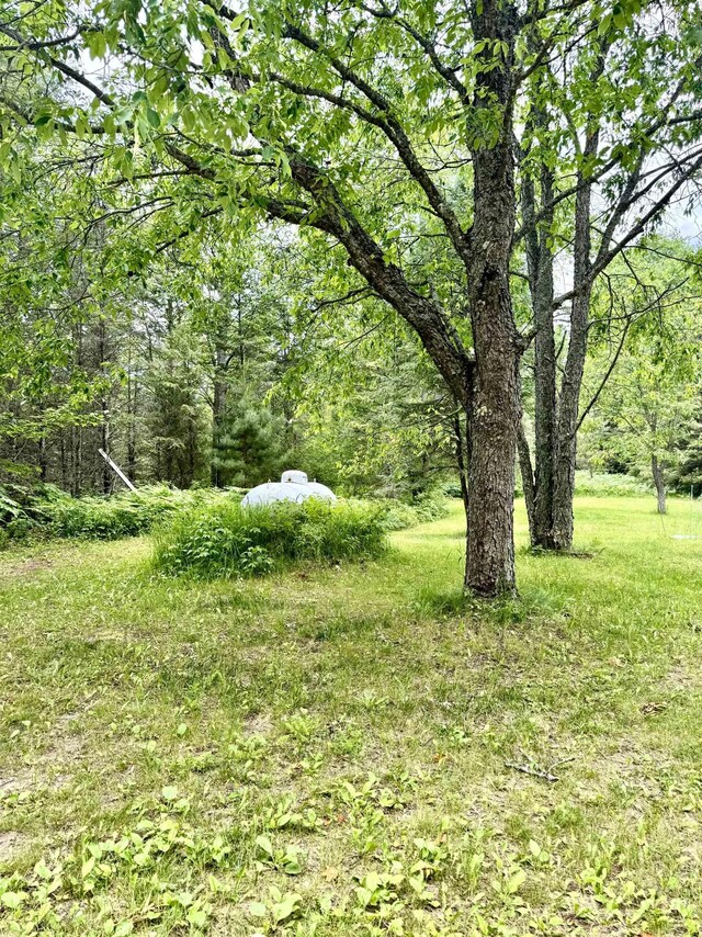 7864 SW Hudson Rd, Fife Lake, MI 49633