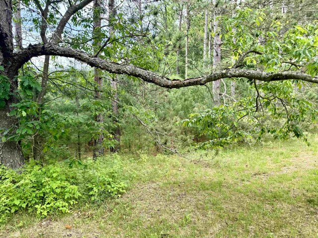 7864 SW Hudson Rd, Fife Lake, MI 49633