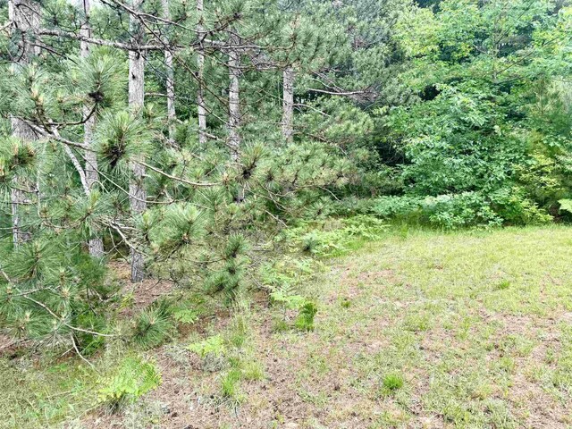 7864 SW Hudson Rd, Fife Lake, MI 49633