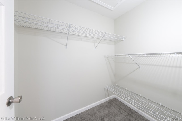 23858 Vassar Ave, Hazel Park, MI 48030 - spacious closet featuring carpet