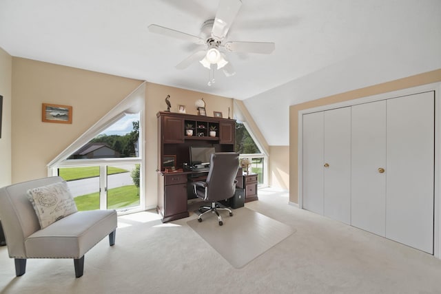 4533 Sid Dr, Jackson, MI 49201 - photo 26