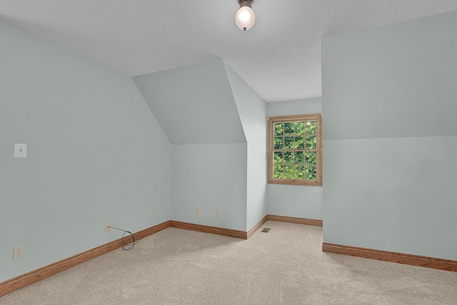 13972 S 5th St, Schoolcraft, MI 49087 - bonus room featuring carpet flooring, lofted ceiling, and a textured ceiling