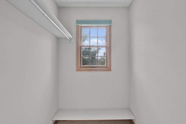 13972 S 5th St, Schoolcraft, MI 49087 - view of spacious closet