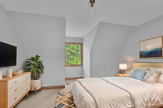 13972 S 5th St, Schoolcraft, MI 49087 - bedroom with light carpet and lofted ceiling