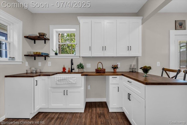 3801 Vicksburg St, Detroit, MI 48206 - kitchen with wooden counters, dark wood-style flooring, white cabinets, and a peninsula