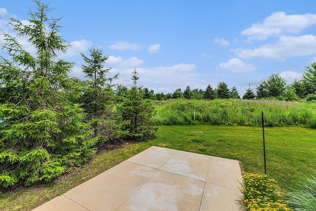 4047 Enclave Way Unit 1, Kalamazoo, MI 49006 - view of green lawn featuring a patio area