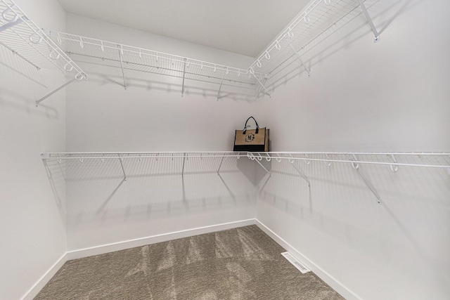 4047 Enclave Way Unit 1, Kalamazoo, MI 49006 - spacious closet with carpet