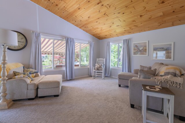 22770 Oak St, Pierson, MI 49339 - carpeted living area featuring lofted ceiling and wooden ceiling