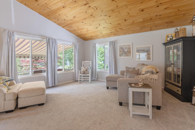 22770 Oak St, Pierson, MI 49339 - carpeted living area featuring lofted ceiling and wooden ceiling