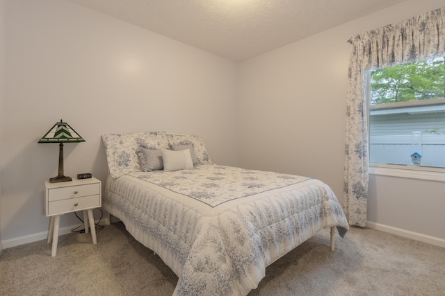 22770 Oak St, Pierson, MI 49339 - bedroom with carpet floors and baseboards