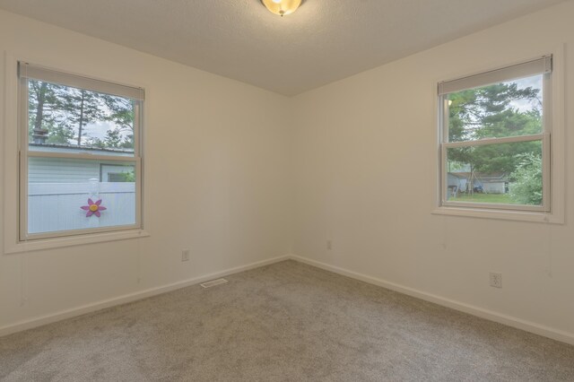 22770 Oak St, Pierson, MI 49339 - empty room with carpet and a textured ceiling