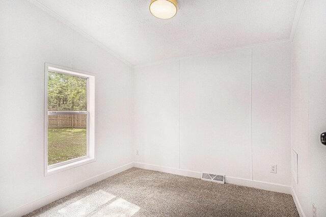 713 Maple Rd, Ionia, MI 48846 - spare room with lofted ceiling, light carpet, and ornamental molding