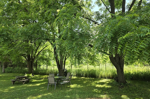 1236 Klink Rd, Tekonsha, MI 49092 - view of green lawn