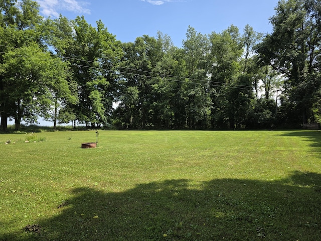 1236 Klink Rd, Tekonsha, MI 49092 - view of green lawn