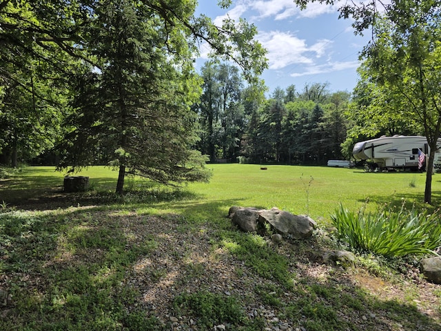 1236 Klink Rd, Tekonsha, MI 49092 - view of grassy yard