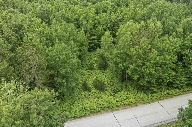 LOT61 Bramblewood Dr, Cadillac, MI 49601