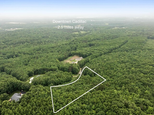 LOT61 Bramblewood Dr, Cadillac, MI 49601