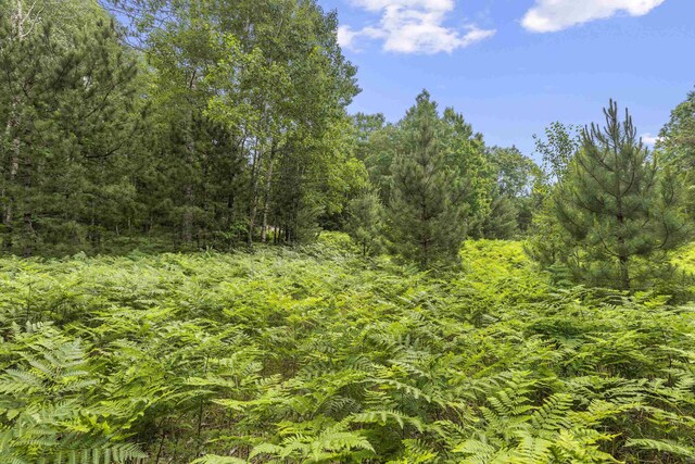 LOT61 Bramblewood Dr, Cadillac, MI 49601