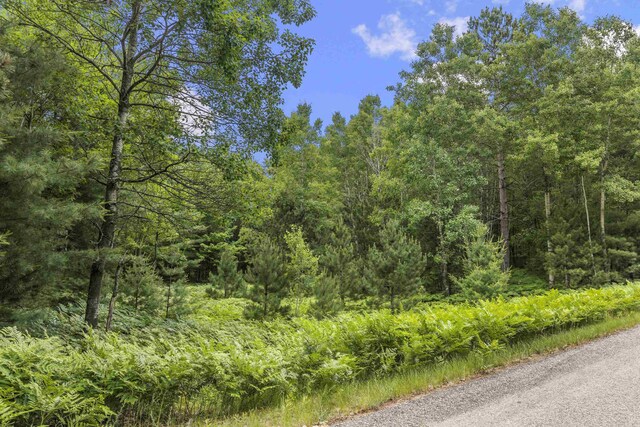LOT61 Bramblewood Dr, Cadillac, MI 49601