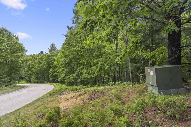 LOT61 Bramblewood Dr, Cadillac, MI 49601