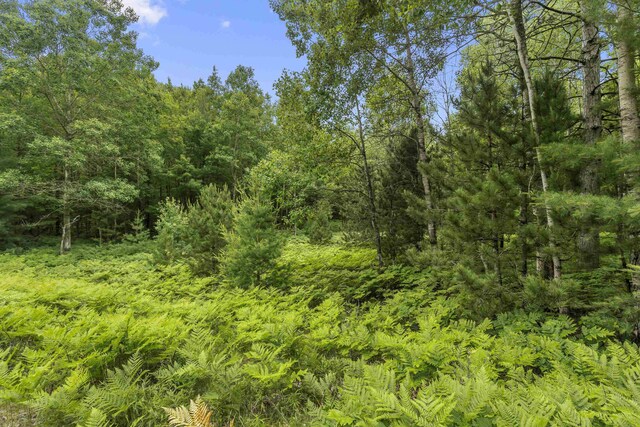 LOT61 Bramblewood Dr, Cadillac, MI 49601