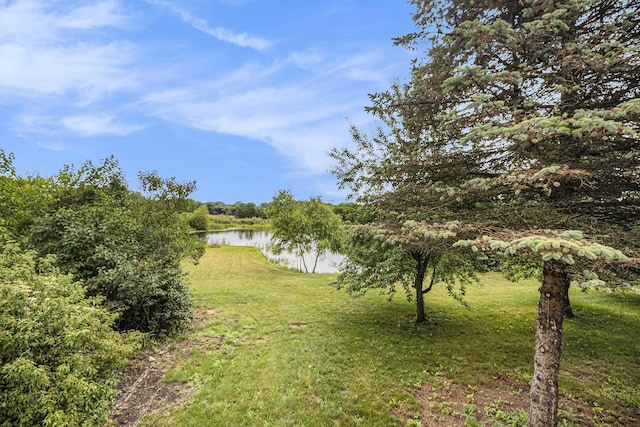 5601 Mi State Road 52, Manchester, MI 48158 - photo 52