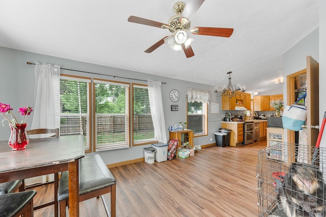 733 N Main St, Evart, MI 49631 - dining space with a chandelier, light wood-type flooring, and a ceiling fan