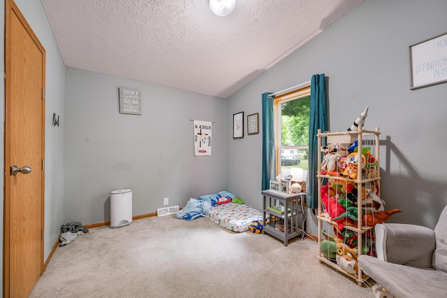 733 N Main St, Evart, MI 49631 - playroom with a textured ceiling and carpet flooring