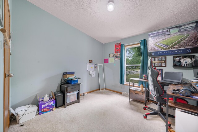 733 N Main St, Evart, MI 49631 - carpeted office space featuring a textured ceiling