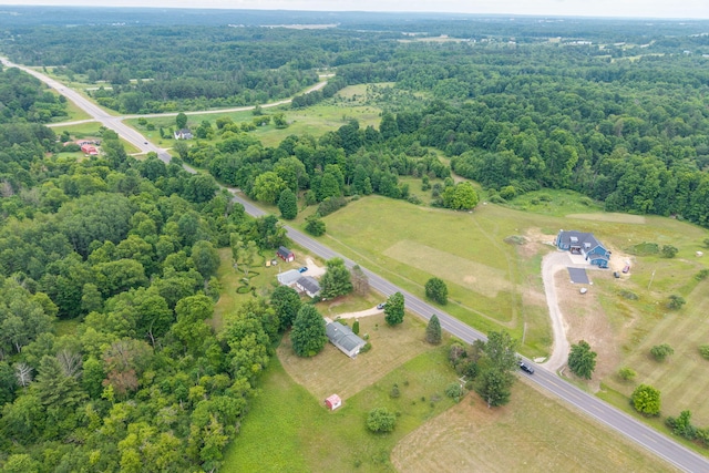 22870 19 Mile Rd, Big Rapids, MI 49307 - view of rural area featuring a forest