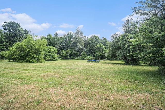 26233 County Road 687, Bangor, MI 49013 - photo 30