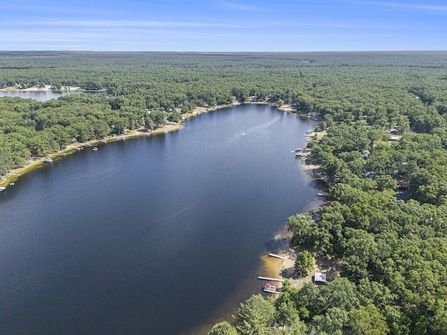 7254 Whistling Pete Rd, Fountain, MI 49410 - photo 20