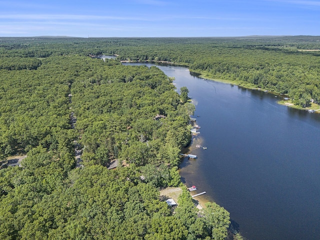 7254 Whistling Pete Rd, Fountain, MI 49410 - photo 21