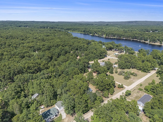 7254 Whistling Pete Rd, Fountain, MI 49410 - photo 22