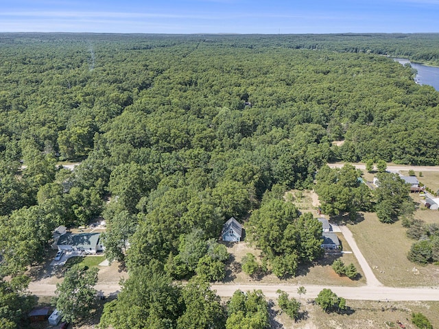 7254 Whistling Pete Rd, Fountain, MI 49410 - photo 23