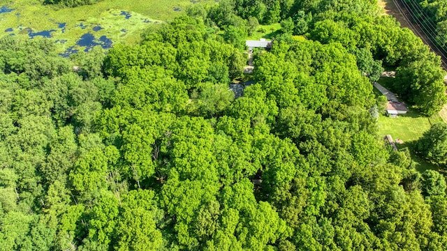 5933 Mccain Rd, Jackson, MI 49201 - drone / aerial view