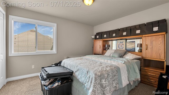 19492 Springbrook Dr, Macomb, MI 48044 - bedroom with carpet and baseboards