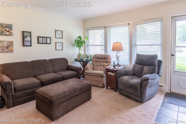 9595 Pearl Beach Blvd, Clay, MI 48001 - living area featuring healthy amount of natural light and crown molding