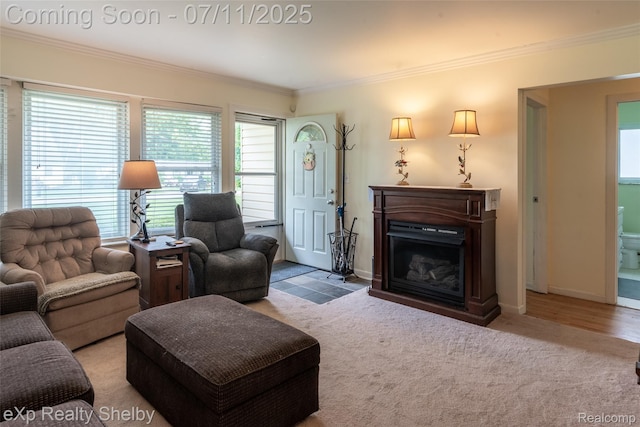 9595 Pearl Beach Blvd, Clay, MI 48001 - carpeted living room with ornamental molding, plenty of natural light, and a fireplace