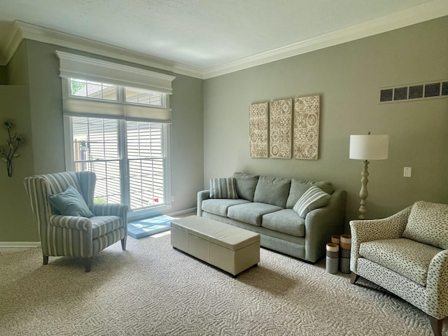 3643 Waterway Ct, Grass Lake, MI 49240 - living room with carpet and ornamental molding