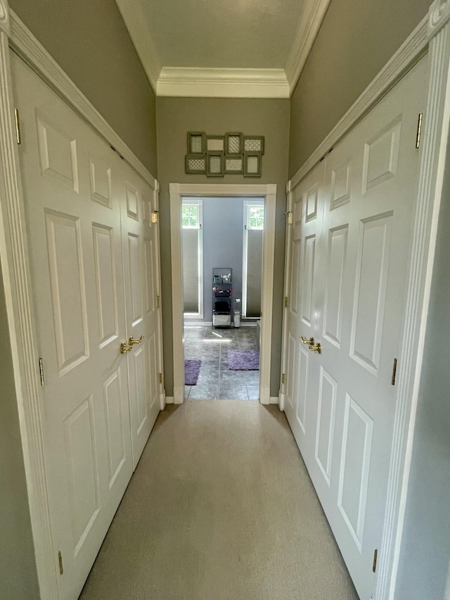 3643 Waterway Ct, Grass Lake, MI 49240 - hallway with crown molding and carpet floors