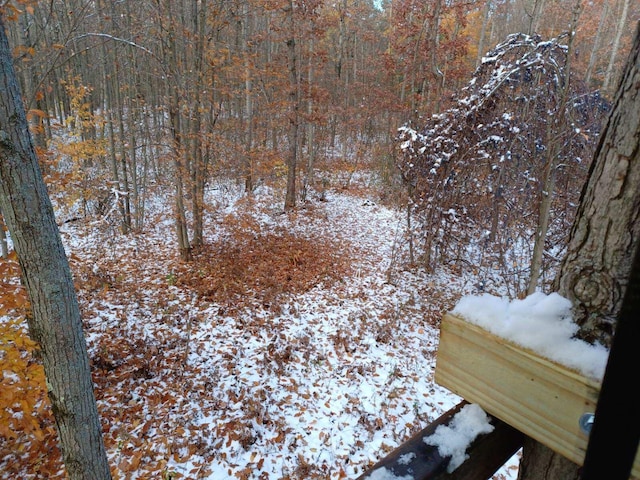 23266 Hayes Rd, Big Rapids, MI 49307 - snowy view featuring a view of trees